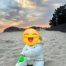 국가대표펜션 | 아기랑 가기 좋은 바다뷰 5~10만원대 펜션 호텔 (직접 다녀온 가성비 펜션 호텔 후기)