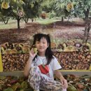 정토원광어린이집 이미지