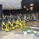 팀바디매스 이미지