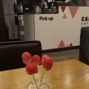 [춘천/명동]카페 두다트(CAFE DUDART) 방문 후기