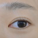 속눈썹공주 - 도봉구 도봉로121길 8 | 서울대입구속눈썹 핫플 "속눈썹공주" 낙성대속눈썹펌 리얼후기