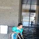 가평잣나무숲하우스 이미지