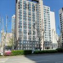 개포까치공인중개사사무소 이미지