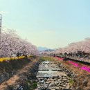 금산천1길 이미지