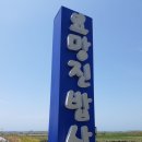 요망진밥상 | 제주혼자여행. 요망진밥상,사계의시간