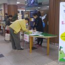 분당도서관 이미지