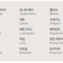 일일오일 이미지