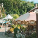 번개랜드 이미지