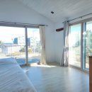 제주애월당귤 이미지