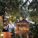 트리하우스 이미지