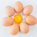 노른자 이미지