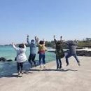 성산일출봉콘도민박 | 최소비용으로 힐링하는 제주 1박2일 가성비 코스 (렌터카·숙소·맛집 총정리)