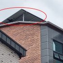 대덕초교 이미지