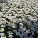 광진구청 이미지