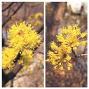 나무와 친해지기 이미지