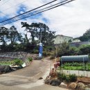 강서구-49 이미지