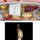 플로체여성의원 이미지