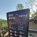 월영산모텔 | [대전 근교] 금산 월영산 출렁다리 아이와 함께 방문 후기