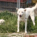 신기축산 이미지