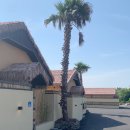 발레나 리조트 436 이미지