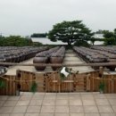 서일여행 이미지