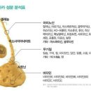 성대농장 이미지