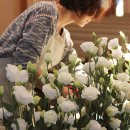 라끄블랑 이미지