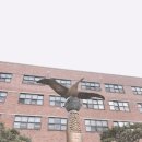 부산국제고등학교 이미지