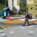 세종푸르니어린이집 이미지