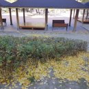 지산근린공원 이미지