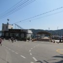 솔숲과 바다 이미지