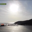 SBS 이미지
