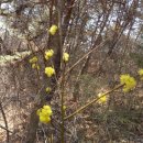 류계영 농장 이미지