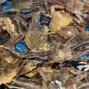 정자우리들 이미지