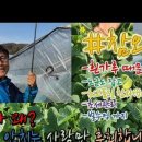 흥농상회 이미지