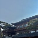 6995 | 한옥 대형 카페 추천 혜경궁 베이커리 | 주차, 빵종류, 애견동반, 후기