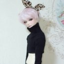다빈룩 이미지