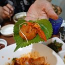 바다로 | 청주 봉명동고기집 노포 맛집 통갈매기바다로날다 후기