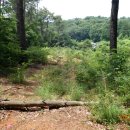 함라초등학교 이미지