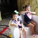 민들레어린이집 이미지