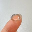 금동초등학교 | 대전 관저동 콘택트렌즈_ 스위스안경 렌즈미 관저점