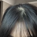 티엑스지헬스케어(유) | 압구정로데오 미용실 비오른헤어 백하 부원장님 두피 관리 추천