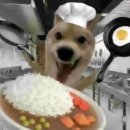 3월 블로그를 낋여오너라