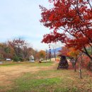 도덕산캠핑장 이미지