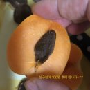 쎄일마트 이미지