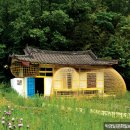 상어경로당 이미지