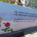 만디 이미지