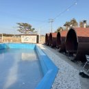 노천농장 | 이색데이트장소 강력추천 단짠보다 강력한 찜질과 노천 수영장의 매력적인 강릉 카페 '쇼드' 핀란드...