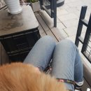 나누구개 이미지