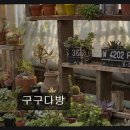 구구다방 - 중구 중앙로 28 | 구구다방